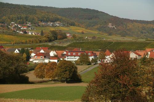 Landhotel Hauer Pleisweiler-Oberhofen Eksteriør bilde